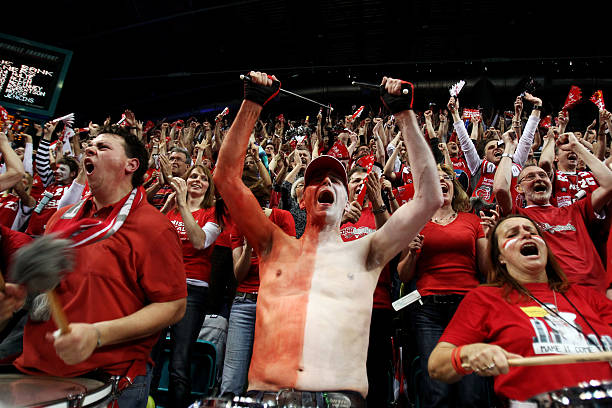 在过去几个 在过去几个