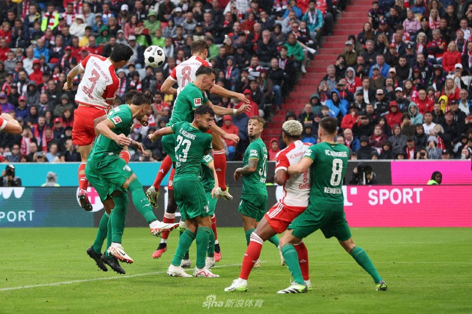 从数据来看 从数据来看