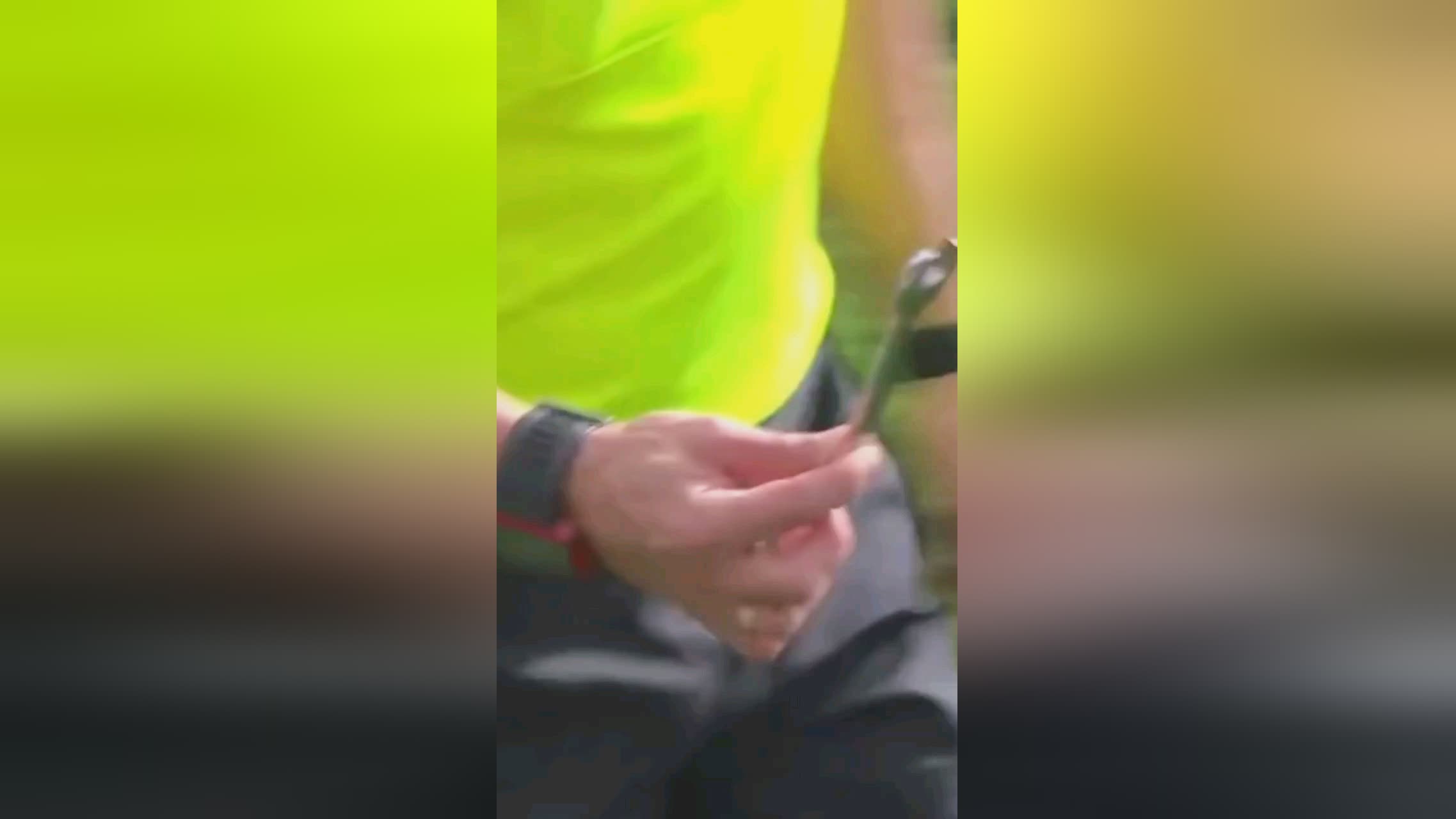 雷速